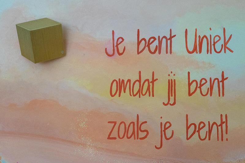 Nieuw: Kom In De Bedstee Uniek! Винтерсвейк Экстерьер фото