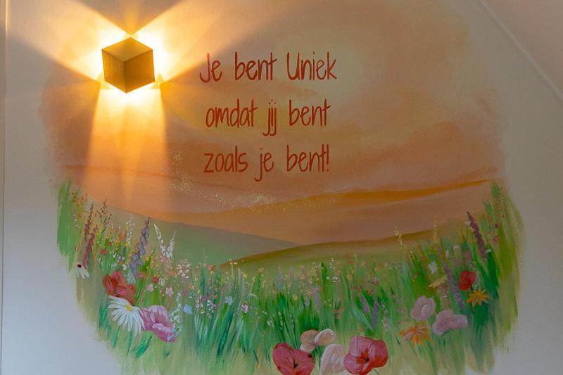 Nieuw: Kom In De Bedstee Uniek! Винтерсвейк Экстерьер фото